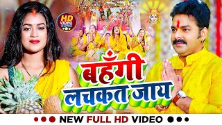 LIVE 🔴 छठ पूजा गीत 2024  पारम्परिक Chhath Geet  Bhojpuri Chhath Geet 2024  Chhath Puja Song [upl. by Mcafee]