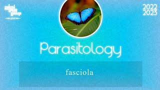 L2  Fasciola gigantica and fasciola hepatica  Parasitology [upl. by Asilef]