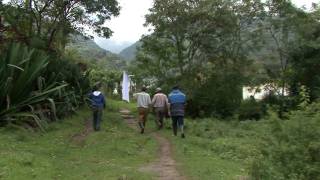 Battle between Colombian military and FARC rebels [upl. by Brandenburg]