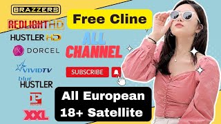 How To Create Free Cccam cline Panel  All Satellite Cline Videocon d2h All HD SD Adult 18 Channel [upl. by Raffin]