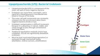 Bacterial Endotoxin Testing History InhibitionEnhancement and Process Control [upl. by Anaz81]