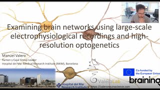 Examining brain networks using largescale electrophysiological recordings and optogenetics [upl. by Zetnas]