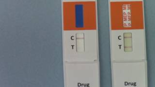 Positive and negative drug test results A guide to interpreting urine drug test kit results [upl. by Anihpled974]