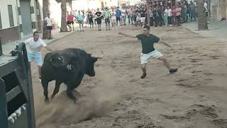 Massamagrell 14092024 Toros del Pilar y del Canario [upl. by Ehsiom569]