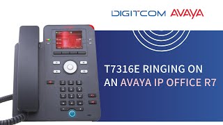 T7316e ringing on an Avaya IP Office R7 [upl. by Coster]