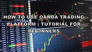 How to Use Oanda Trading Platform  Tutorial for Beginners [upl. by Bully]