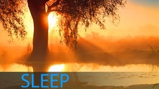 8 Hour Deep Sleep Music Sleeping Music Relaxing Music Sleep Delta Waves Sleep Meditation ☯228 [upl. by Anasor]