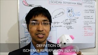 Ischemia Reperfusion Injury HD [upl. by Ttihw381]