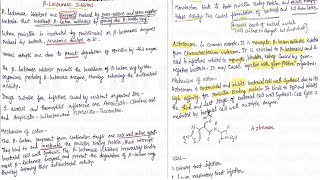 Topic 10 Beta Lactam Antibiotics  Beta Lactamase Inhibitor amp Monobactam Antibiotics  Antibiotics [upl. by Woodward]