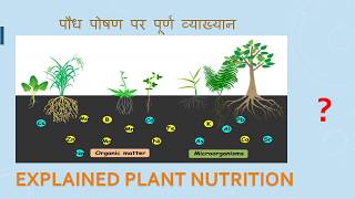 Macronutrients Micronutrients Nutrition in plants [upl. by Ongineb]