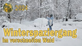 Winterspaziergang [upl. by Olraced8]