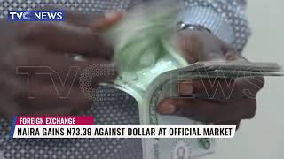 Naira Gains N7339 Against Dollar At Official Market [upl. by Crooks]