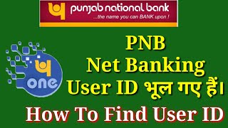 Forgot PNB Net Banking  PNB ONE User ID  How To GetRecover User ID  In Hindi [upl. by Namwen8]