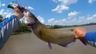 Bank Fishing for Bass at Ottawa State Fishing Lake [upl. by Wawro]