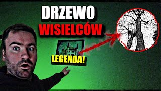 MOCNA LEGENDA O KLĄTWIE SPRAWDZONA [upl. by Kalinda557]