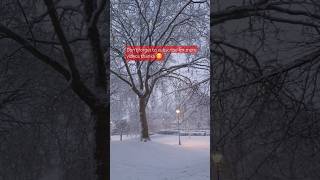 🇬🇧Snow in uk music nationalpark piano relaxing love relaxingmusic ukvlog [upl. by Clintock]