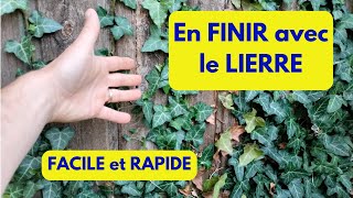 Se DEBARRASSER du LIERRE RAPIDE et FACILE [upl. by Oniram]