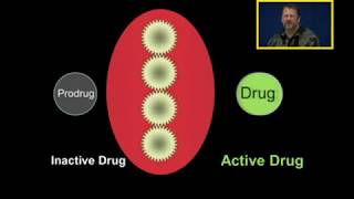 Biotransformation Prodrugs [upl. by Stevena511]