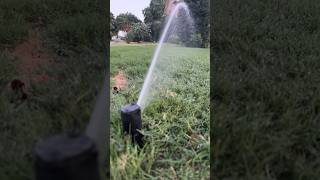 Bermuda Grass Watering Schedule in North Texas [upl. by Nutter]