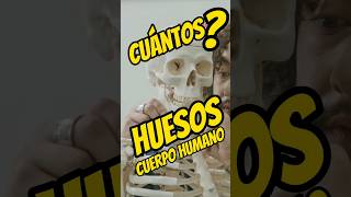 Huesos del cuerpo humano sabiasque trivia curiosidades bilogia educate aprendeconmigo shorts [upl. by Ragan495]