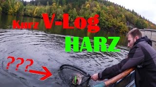 VLOG  HARZTalsperre mit Überraschung  Fishing Fingers auf Abwegen [upl. by Narok]