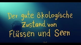 Der gute ökologische Zustand von Flüssen und Seen [upl. by Leslie]