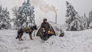 Caught in a Heavy Snowfall  Winter Camping in a Deep Snow Hot Tent Wood Stove Cold Weather [upl. by Bernadette]