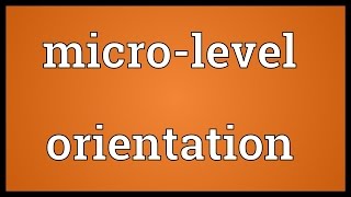 Microlevel orientation Meaning [upl. by Uel]