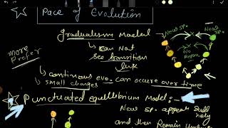 Evolution gradualism and punctuated equilibrium model  pace of evolution csir net [upl. by Milo]