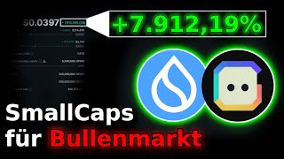 SmallCaps ALS ERSTER den STÄRKSTEN MarktSektor kaufen  mehr Rendite als Bitcoin [upl. by Hollie747]