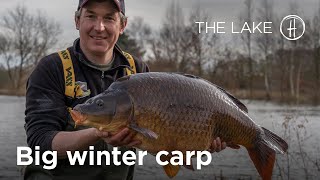 In search of BIG winter carp  quotTHE LAKEquot Episode 1 [upl. by Silecara]