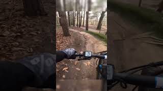 Dirt jumps on the ebike in the woods [upl. by Bjork]