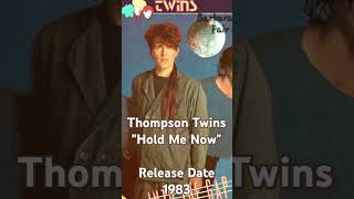 Thompson Twins 80s radio lovesongs rock music holdmenow [upl. by Nhguaval]