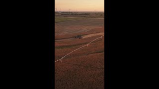 Corn and Soybean Harvest [upl. by Ramses866]