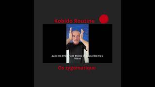 Routine Kobido sur visage Travail sur os zygomatique [upl. by Wooster485]