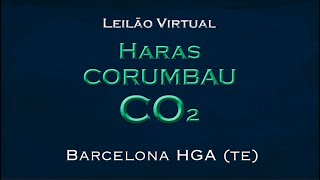 Barcelona HGF [upl. by Giarla]