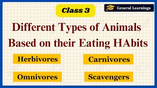 Types of animals based on their Eating Habits  Class 3 Science Complete Chapter generallearnings91 [upl. by Relly]