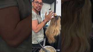 Cubrimiento de canas y reverse balayage [upl. by Snoddy]