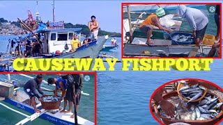 CAUSEWAY FISHPORT Tagbilaran city bohol Philippines [upl. by Llerreg]