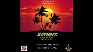 DJ DOTCOM PRESENTS NATURES WAY REGGAE MIXTAPE NOVEMBER  2020 CLEAN VERSION🌏🔊🔥 [upl. by Mccutcheon]