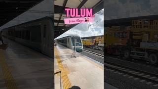 Tren Maya en Tulum ya está en funcionamiento tulum trenmaya amlo [upl. by Saibot225]