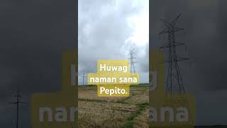 Typhoon Pepito Camarines Sur Bicol Stay safe my fellow Bicolanos [upl. by Annahaj]