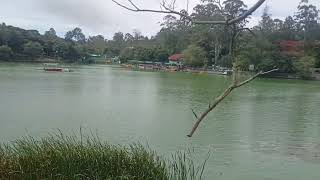 yercaudlakeyercaudhills yercaudtouristplaces yercaudtrip yercaudvlog ஏற்காடு [upl. by Cinnamon930]