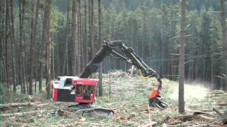 SHOVEL LOGGING TO THE YARDER AUSTRALIA [upl. by Lihcox]