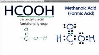 HCOOH Lewis Structure How to Draw the Lewis Structure for HCOOH [upl. by Kersten112]