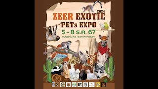 EXOTIC PETS EXPO Dec 2024  ZEER RANGSIT mall Bangkok Thailand [upl. by Berna]