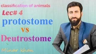 protostome vs deutrostome Pashto lecture [upl. by Crist]