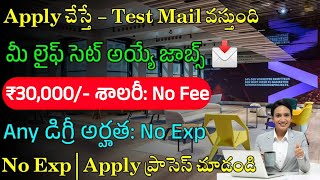 Accenture New Recruitment 2024  Latest Jobs In Telugu  Jobs In Hyderabad Work From Home Jobs 2024 [upl. by Dickinson674]