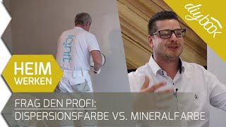 Frag den Profi Dispersionsfarbe vs Mineralfarbe  Das Interview [upl. by Izabel]