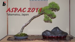 ASPAC BONSAI 2011 Japan [upl. by Ilehs906]